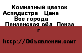 Комнатный цветок Аспидистра › Цена ­ 150 - Все города  »    . Пензенская обл.,Пенза г.